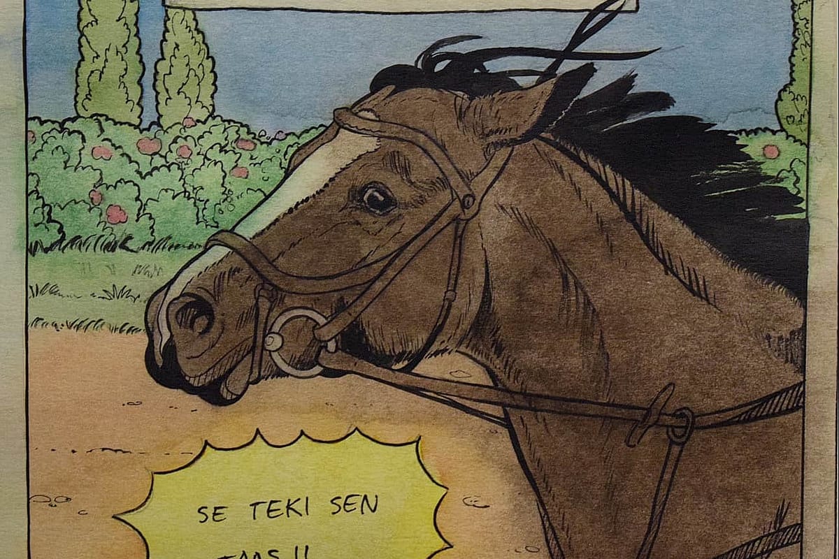 Veera Tammisen hevos sarjakuva. Horse Comic by Veera Tamminen